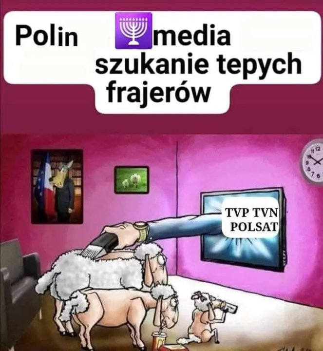 311584844_426823396278007_11753906304835