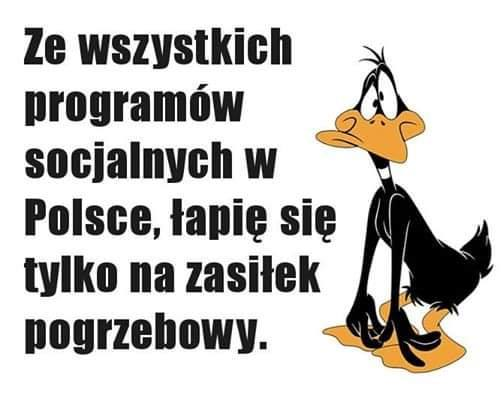 Może być zdjęciem przedstawiającym tekst „Ze wszystkich programów socjalnych w Polsce, łapię się tylko na zasiłek pogrzebowy.”