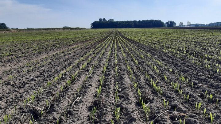 sVYF-xK8JNxiYLixY5heW1-5jo_q-RSy2QkROQtk