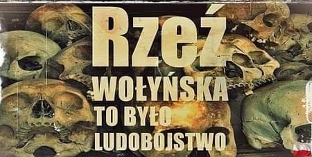 287997176_5240636502680854_5677789652149