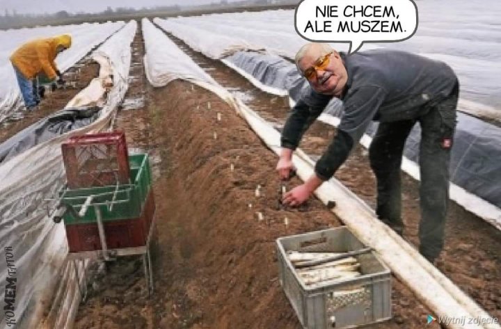 173125037_771302423780597_52302807989250