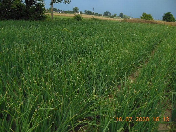 ACtC-3dUXv1DtPS_ieejWFuFpZQ3h-D80oyQ_iQ0