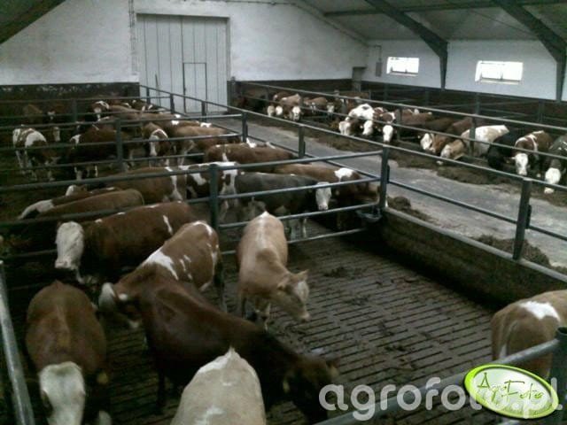 Może być zdjęciem przedstawiającym tekst