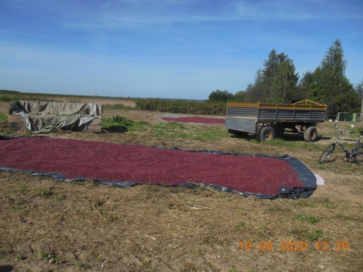 ACtC-3e_yjKI00WwLxeDTIUckryckmhmbzDa-l0w