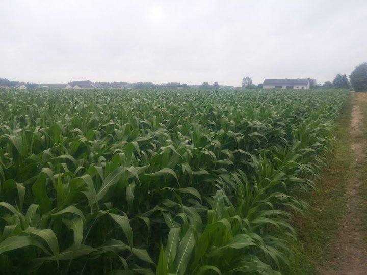 mfZD2xdd6QOTovBt0ReaqaMQsv1-yEs6Cnp4WkID