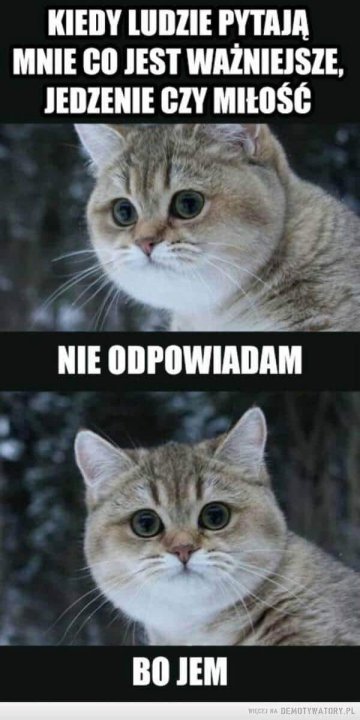 117987281_3168399193208429_2919593796789