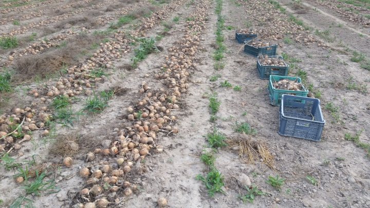 AIL4fc_L2s_ikb79uShlHbKPL-nNKfhuQd_DniQD