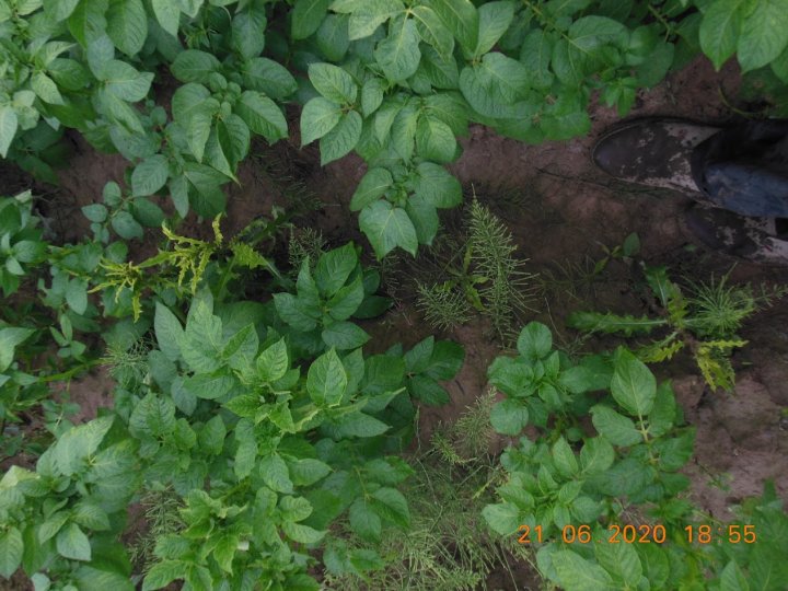 AJFCJaXzy_fch9TSIuOwLW0RuCmop4iDiUUgFkK3