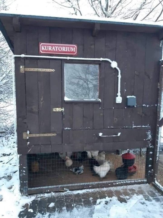 265564613_415258183633768_80265676967613