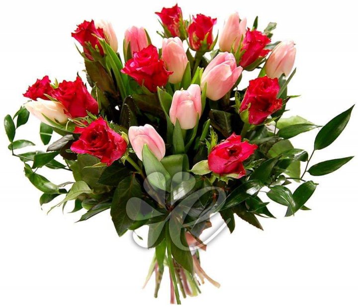 54525294_2151114131640429_28664042865085