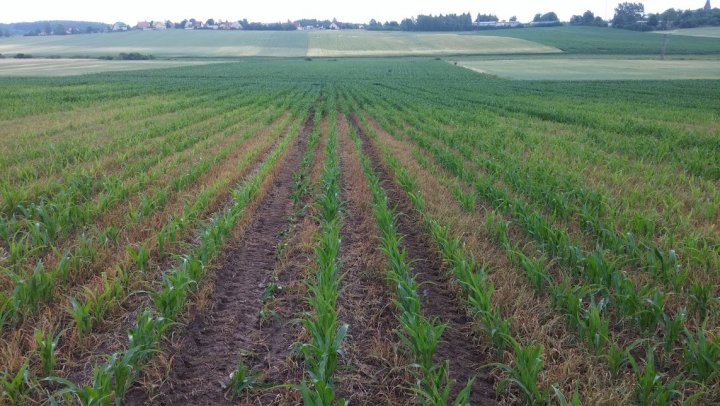 kJLW0hsG7riZ05DZIHkoHRnyMWoqu0ju8bZZ0Iie