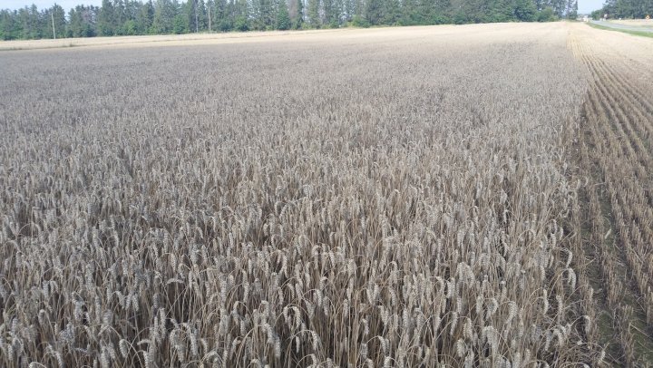 AIL4fc8jMGohgaQfFGCv6W1GlMkoVrRK5GEJqjnt