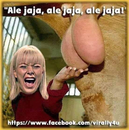 177362842_10219025600134855_573063983131