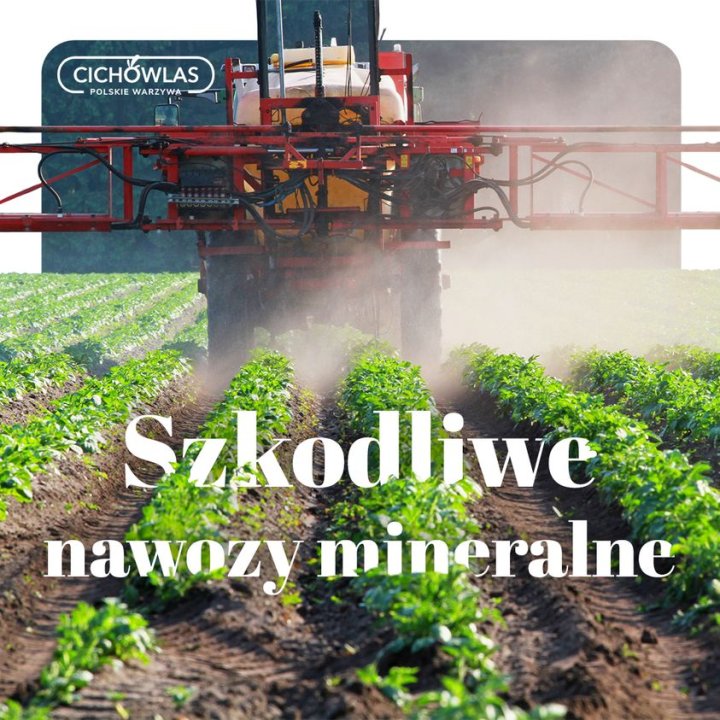 Może być zdjęciem przedstawiającym tekst „CICHOWLAS POLSKIE W WARZYWA Szkodliwe nawozy mineralne”