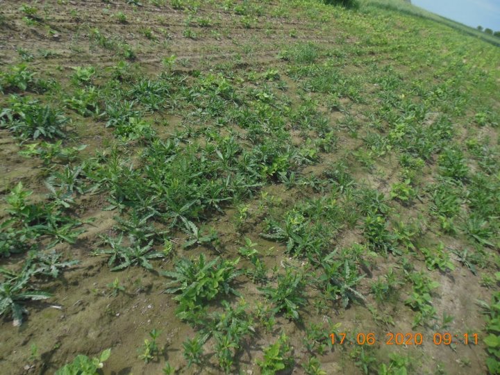 ACtC-3dS1UIuGnPohwfECkJe6wexra1TEjOUfFX6fKH2YiN4D-zitiLmBzjMcP8TaWohDnDdinMzfEOSwtPI_yZcKsOVwSfZ0zucJG0t7vInGSzeviZMKWwGxnm9adPLqzrBddqGa_p1qxIBp6rLkDTDIhtV=w1342-h1006-no?authuser=0