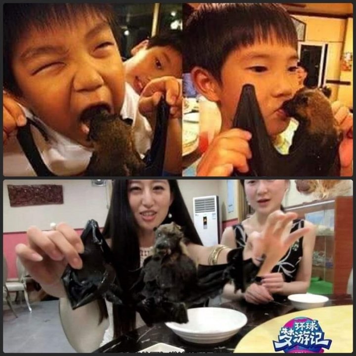 EPAzAngUUAARgIY?format=jpg&name=900x900