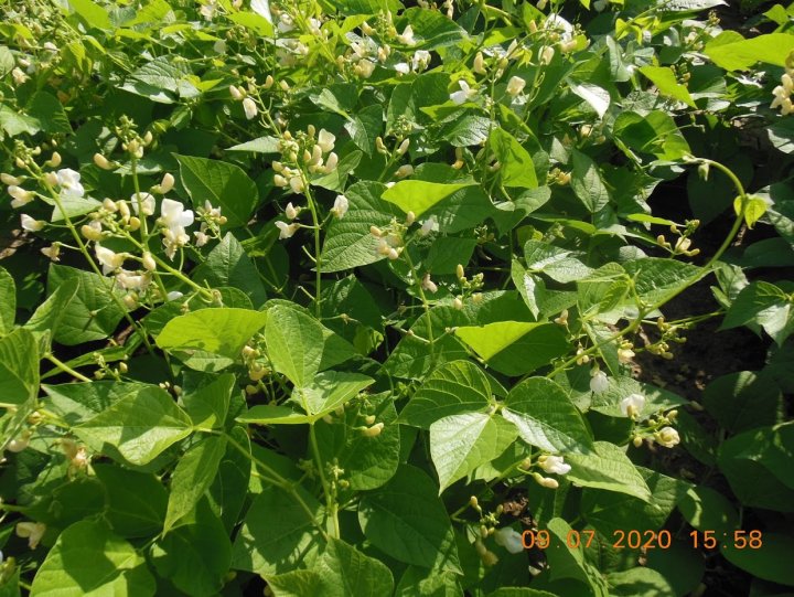 ACtC-3d72KUHnfLzmIvFIT-ItfXuUQJZgsRtnCGg