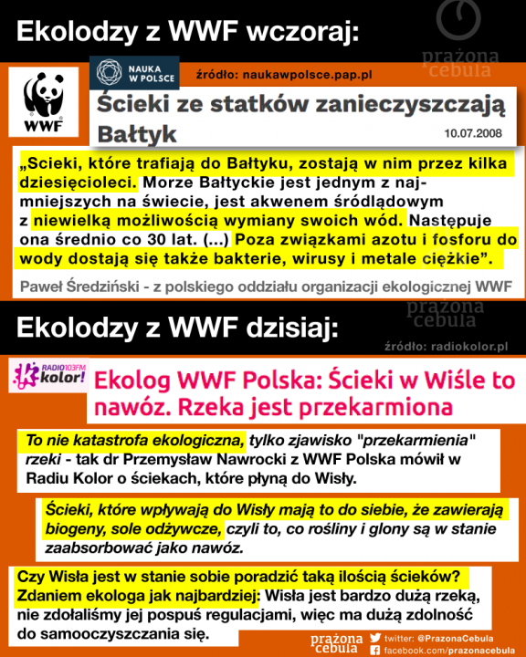 119851769_3370965752925834_4200088843855