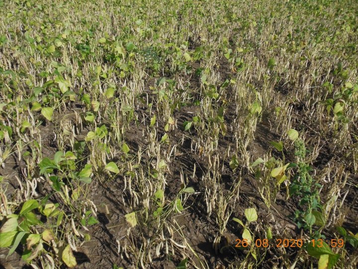 AJFCJaVN5ZKK9h80vxTipAYY5f42-6ObebnFpthT