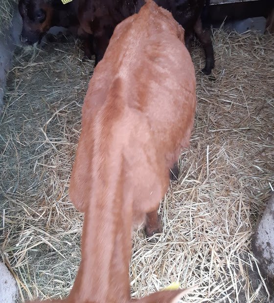 WmarBJ76bTFvjzYs_R786HhNWnpHXaCWaAalArnH