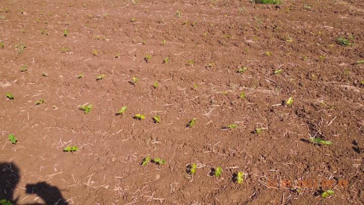 AJFCJaWsZDw6hWXfuH-LBz7dgsELWFKVImEkTmuU