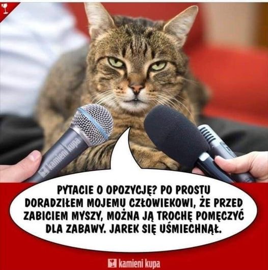 197646775_827383954852196_88147200967659