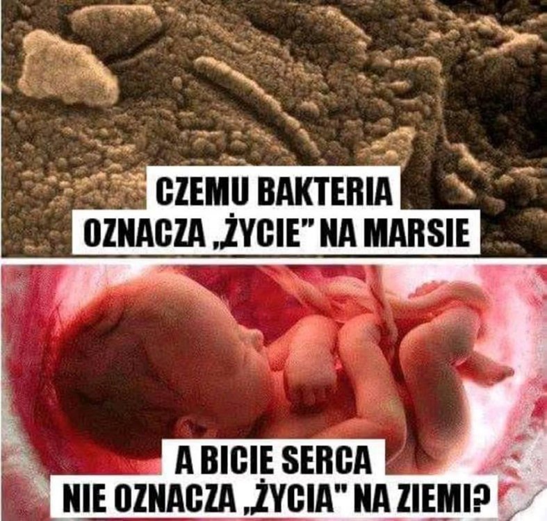 44740214_730772590613410_912477629945636