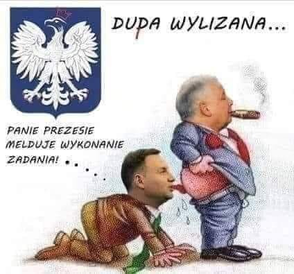 94657786_1709940875840915_51318079753121