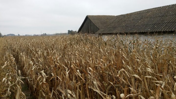 w3NTnWZK4XTazTJ5dkqzFUHkMhIi9m3EzTW_EMmh