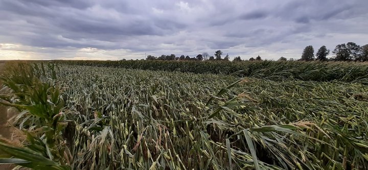 Brak dostępnego opisu zdjęcia.