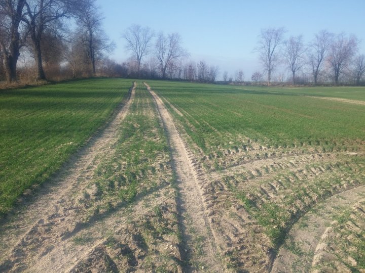 qEqU5kaV5CRYjqgZ60mp7VhvpftvgTxSkmLdV1Y4