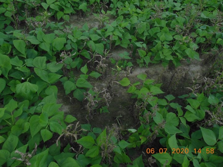 AJFCJaU750ADMl3OovKppTMvCtA4t5ZUmV5CcZHC