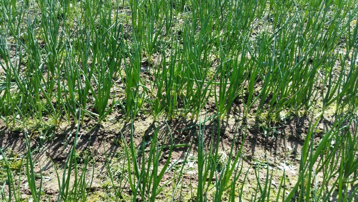 AJFCJaU45bFwWTDHw7y_FGGx7sxa-dw-1Frri0Yr