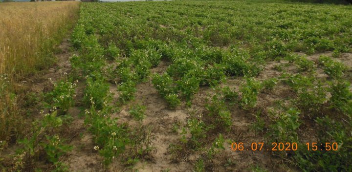 AM-JKLW455YmTBMjccpnR7x8bRHfBoG8HR0MedJo