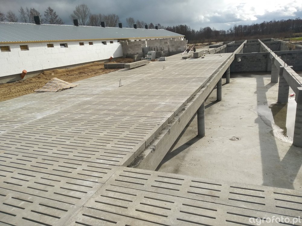 chlewnia_l_1425c80f4eb70f0e0f5c512368b14