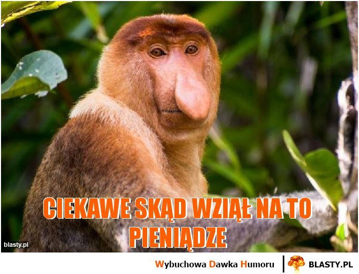 ciekawe-skad-wzial-na-to-pieniadze_2017-