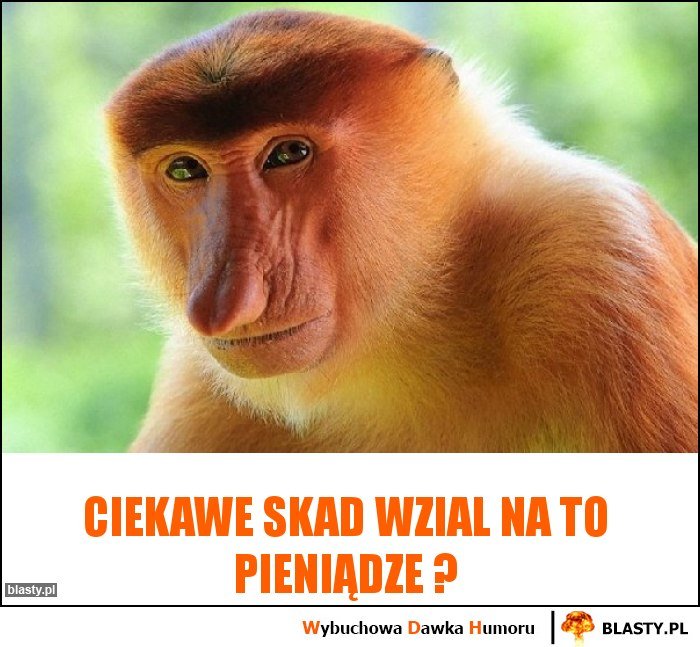 Ciekawe skad wzial na to Pieniądze ? memy, gify i śmieszne ...