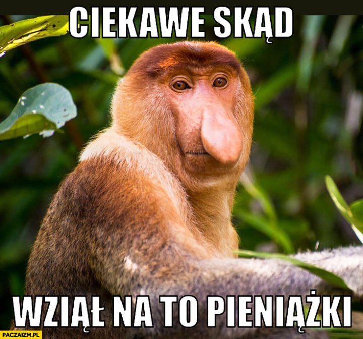 ciekawe-skad-wzial-na-to-pieniazki-typow
