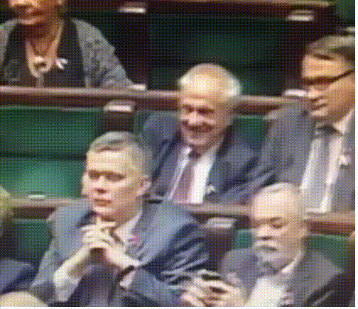 Znalezione obrazy dla zapytania niesioÅowski gif