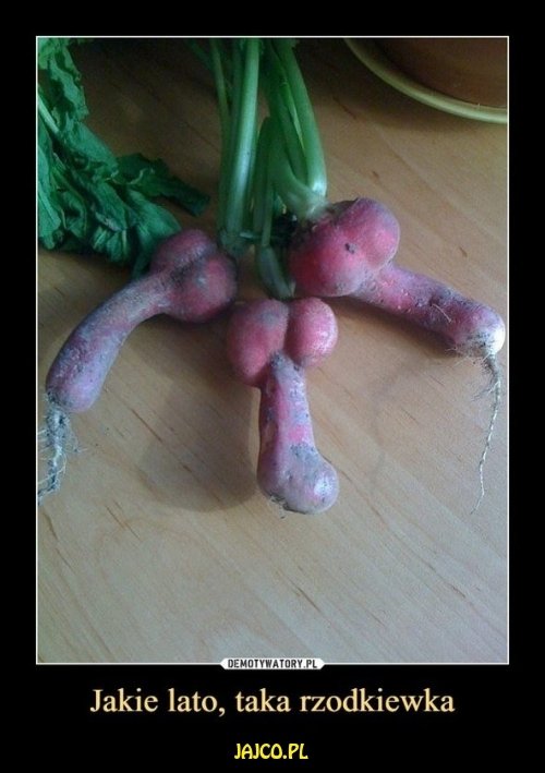 comment_5LTDjcFXSP2BeKooAtSAAY4koOHqwl2R