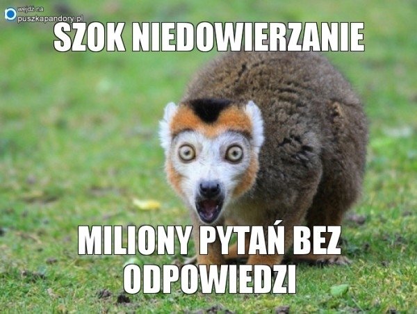 Szok i niedowierzanie. Za kilka miesięcy kończy... - Qontrol ...
