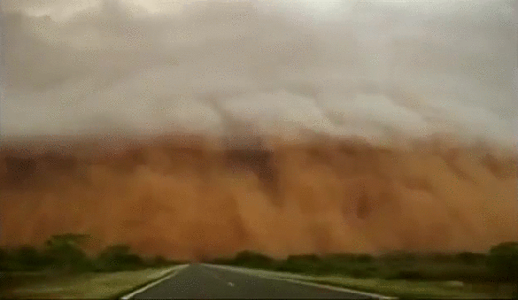 swiat #burzapiaskowa #gif #ciekawostki - xblackwidowx - Wykop.pl