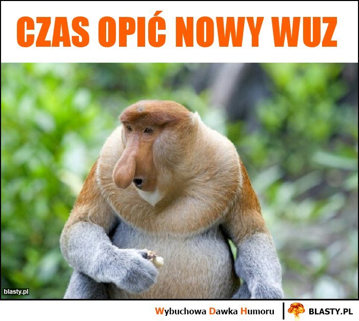 Czas opić nowy wuz memy, gify i śmieszne obrazki facebook, tapety,  demotywatory zdjęcia