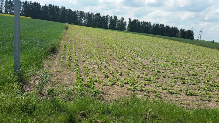 AM-JKLXcEAdP04Z7FV3RGXrAYS6vwQU9LgyyOn6T