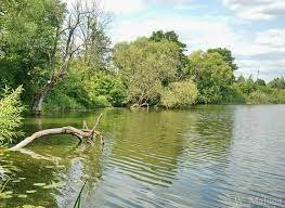 Polska Prowincja - Dubienka