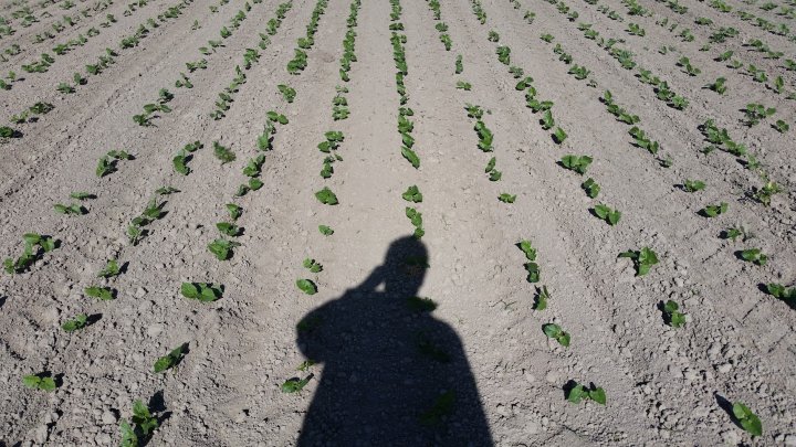 AP1GczOZ0THQSJCzyKwZYnHOBo7j0t3VGtoNOswn