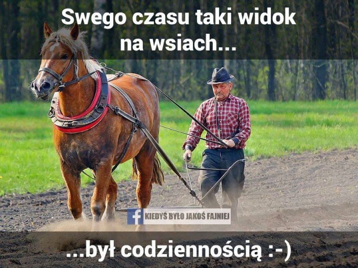 Może być zdjęciem przedstawiającym 1 osoba, stoi, koń, na świeżym powietrzu i tekst „Swego czasu taki widok na wsiach... f KIEDYŚ BYŁO JAKOŚ FAJNIEJ ...był codziennością :-)”