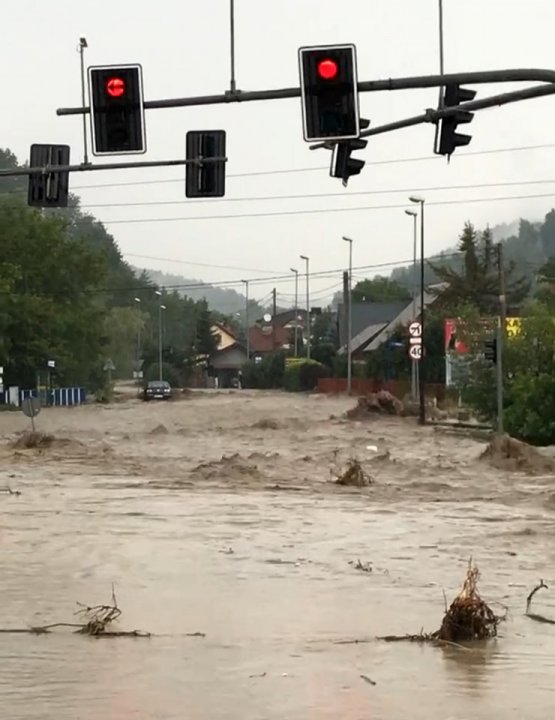 Może być zdjęciem przedstawiającym droga i drzewo