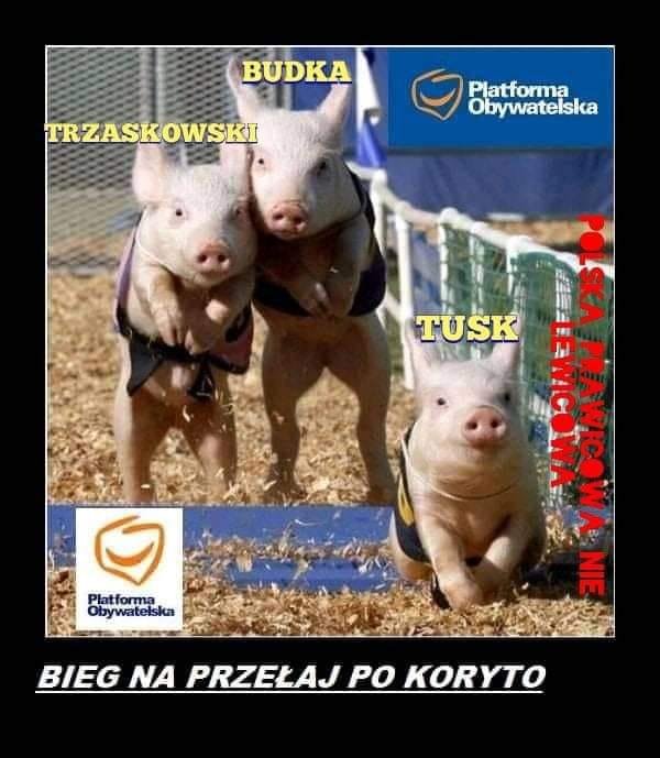 211433234_4066016600143071_6228531926991