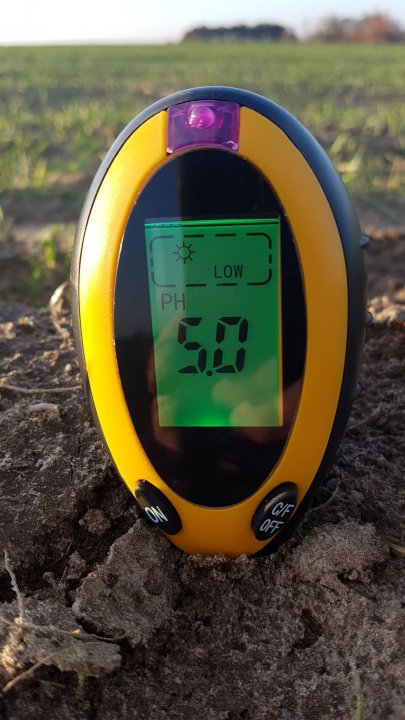 80982051_807859606293597_691676716916224